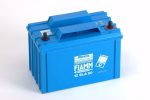 FIAMM 12SLA50L 12V 50Ah VRLA UPS battery