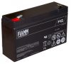 FIAMM FG11202 6V 12Ah VRLA battery