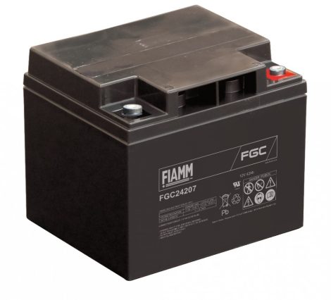 FIAMM FGC24207 12V 42Ah VRLA battery